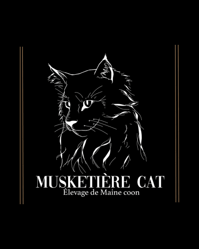 musketierecat.fr